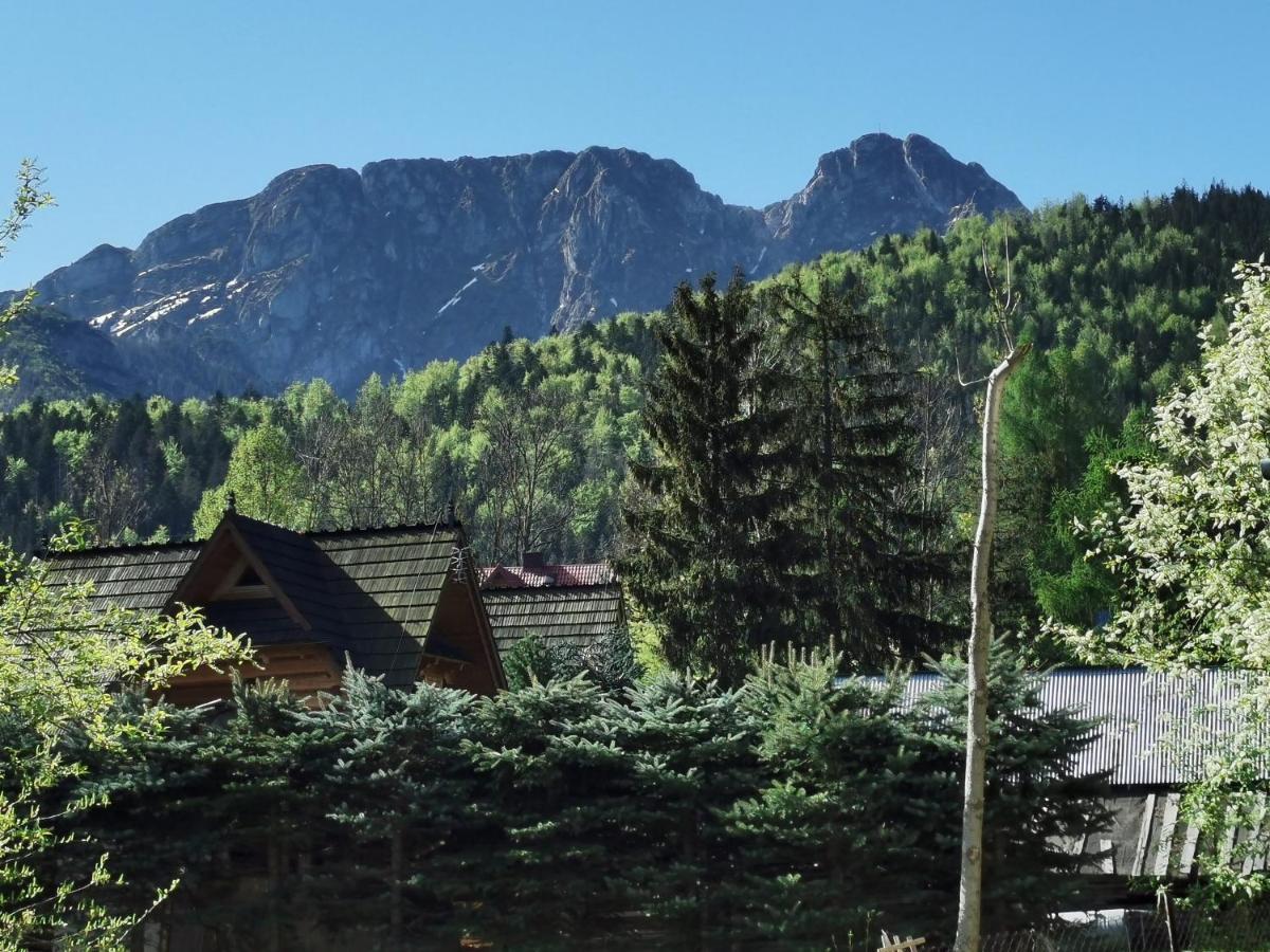 Willa Senator Zakopane Luaran gambar
