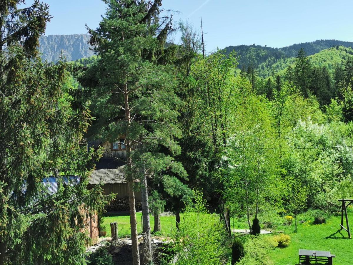 Willa Senator Zakopane Luaran gambar
